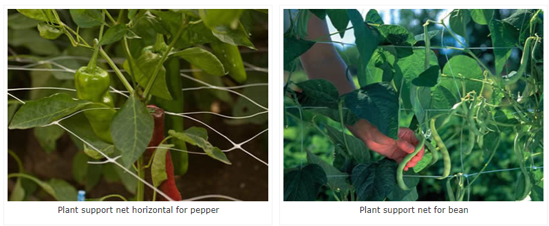 Pp Cast Mesh Size 10cm 15cm 17cm Plant Support Net