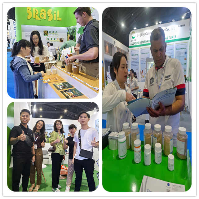 Bacteria-Derived Microbial Protein Powder By Fermented Process Crude Protein 70% MPP , BPP