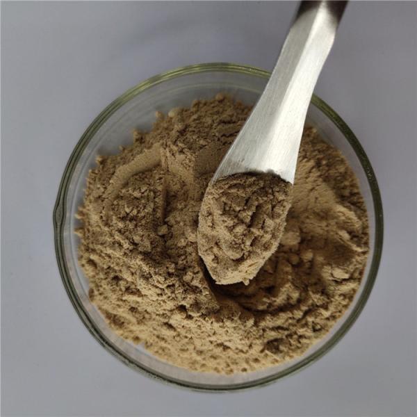 Cheap wholesale price of fucoxanthin with best price for sale