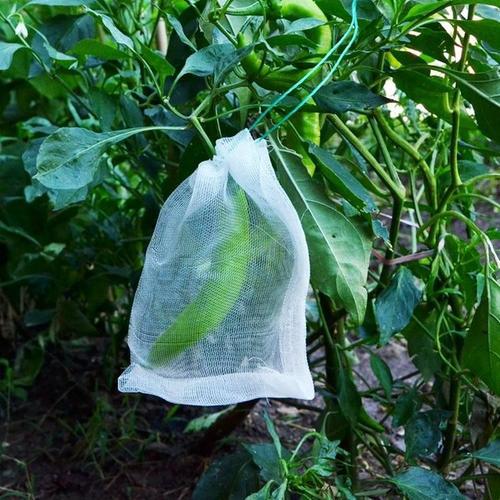Agricultural seed bag Insect-proof fruit bag Breeding soaking bag Nylon mesh bag 20-250 mesh
