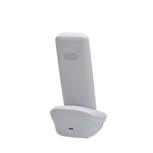 Best FM Radio 2G GSM DECT Phone MP3 Dual SIM Card Slot wholesale