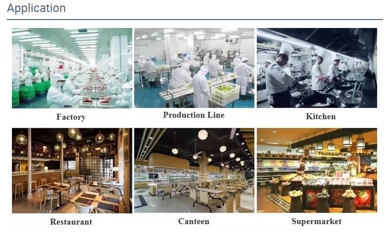 1500w 4mm 3T Fruit Processing Equipment For Lettuce