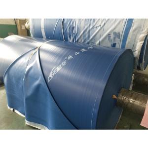 Best PVC Knife Coated 900gsm 1300D*1300D Blue Tarpaulin Sheet wholesale
