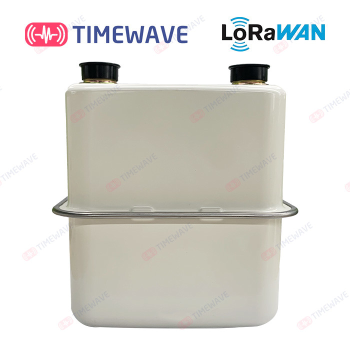 LoRaWAN Smart Gas Meter Secure Gas Consumption Meter Lithium Battery