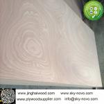 rotary sapele veneer furniture plywood