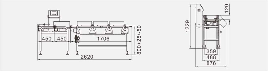100P/M Checkweigher Scale