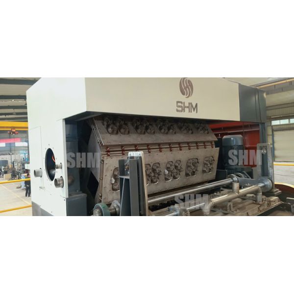 Paper Coffee Cup Maker Fully Automatic Cup Tray Forming Machine