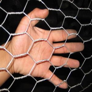 Galvanized Hexagonal Wire Netting