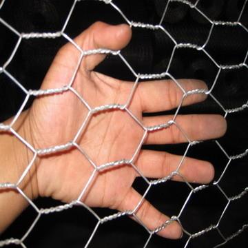 Cheap Galvanized Hexagonal Wire Netting for sale