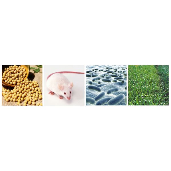 5ml Dry Block Incubator
