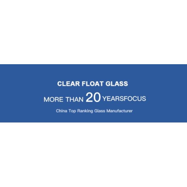 8mm Dark Green Float Glass Factory Direct Supplier
