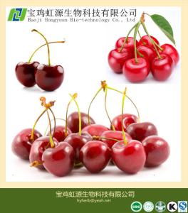 Best 100% Soluble Acerola Cherry Extract Powder wholesale