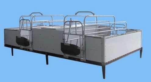 pig farrowing sty