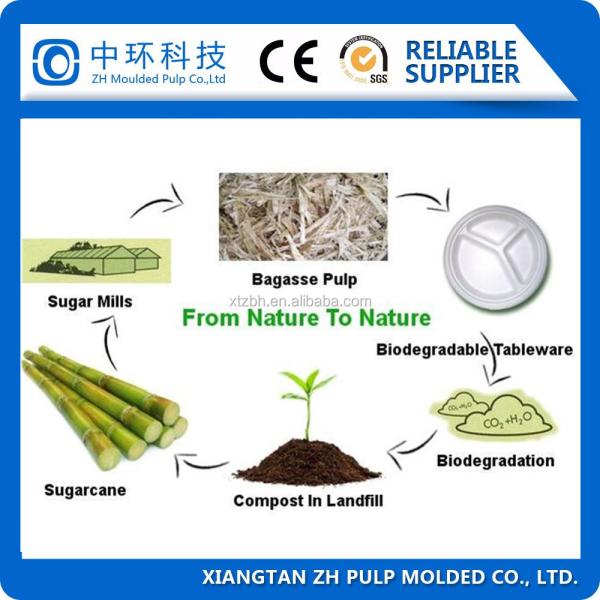 Cheap Molding Biodegradable Pulp Packaging Machine 440V Bagasse Plate Making for sale