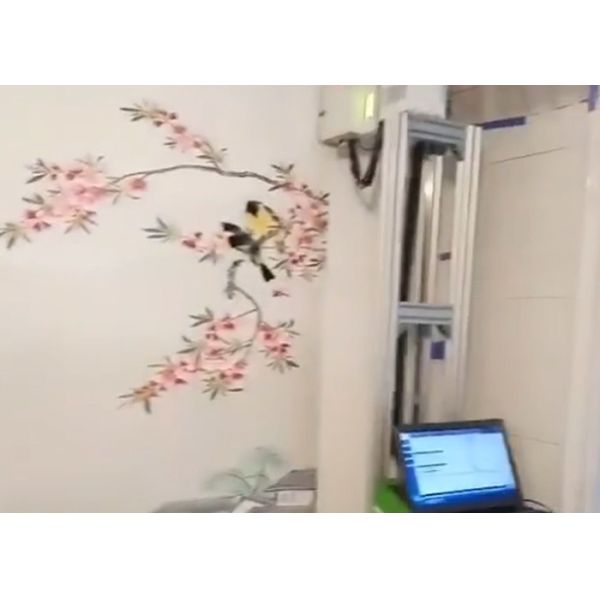 Usb 3.0 Vertical Wall Printer 3d Effect Printing 3 Axises Driving Ac 90-246v