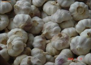 Best 2016 New crop fresh natural pure white garlic; common garlic; wholesale