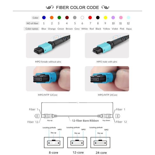 OM4 24 Core MPO Fiber Patch Cord Multimode Trunk Cable