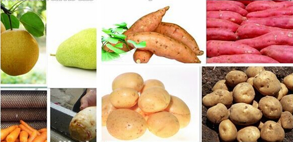 Adjustable Speed Potato Processing Equipment , Fruit And Vegetable Processing Equipment