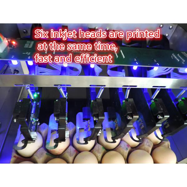 Eggs Continuous Inkjet Printer With Date Automatically Updated Programme