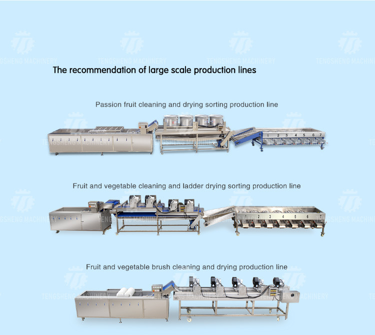 50PCS/Min Desktop Fish Processing Machine Grass Carp Peeler