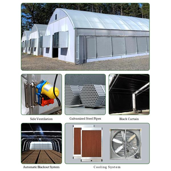 Shade Net Irrigation Blackout System Greenhouse 100% Shading