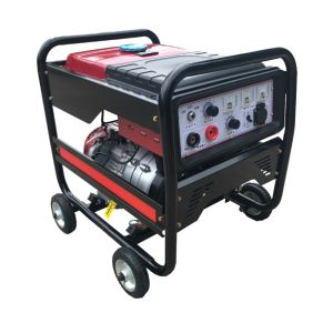 195FE Petrol Ac Engine Driven Welders Generator Hand Welding MMA