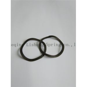 Stainless steel Nested Wave Springs