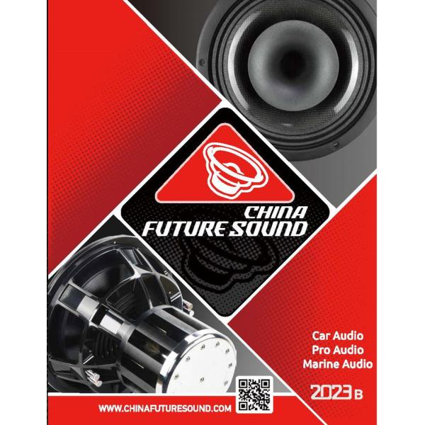 High Atmor coating subwooer box pro woofer box wooden box PDF box