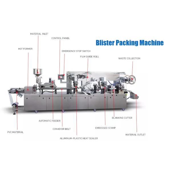 45 Cutting/Min Flexible Blister Packing Machine For Pharmaceutical Pill