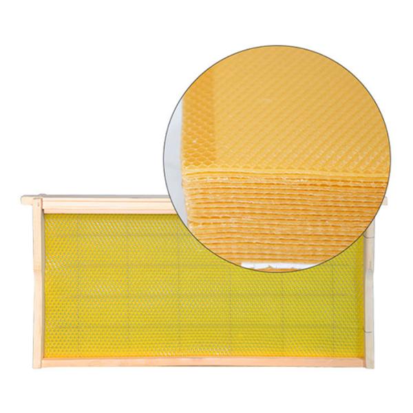 Traditional Beekeeping Honey Bee Frames With Foundation 48.3cm×44.8cm×23.2cm