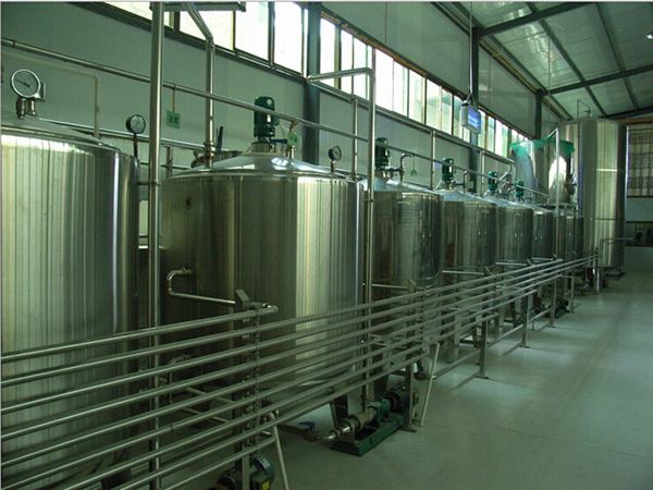 Automated Dairy Milk Production Line Packing Conveyor Systems