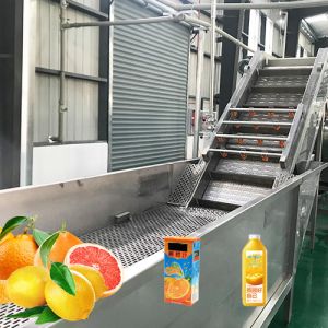 Best Beverage Extracting Sus304 1500t/D Citrus Processing Line wholesale