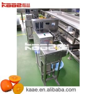 2000KGS Dried Persimmon Processing Line Persimmon Peeling Machine
