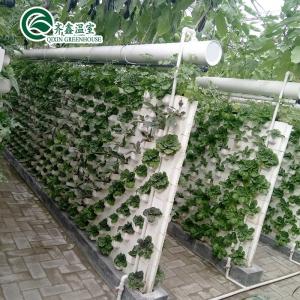 Best Boost Potato Harvest Large Plastic Pipes Multi-Span Agricultural Greenhouses wholesale