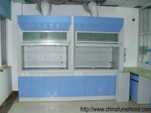 Laboratory Steel Fume Hood , Lab Fume Cupboard With PP Sink / Water Faucet