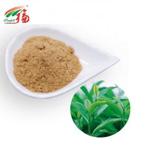 Best Instant Oolong Tea Green Tea Extract Powder 20% Polyphenols For Beverage wholesale