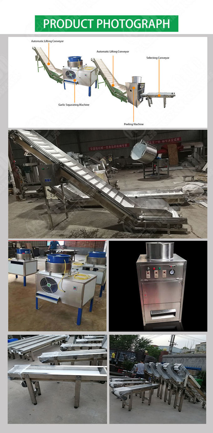 Multi Functional Wide Output Range Long Working Life Garlic Processing Line