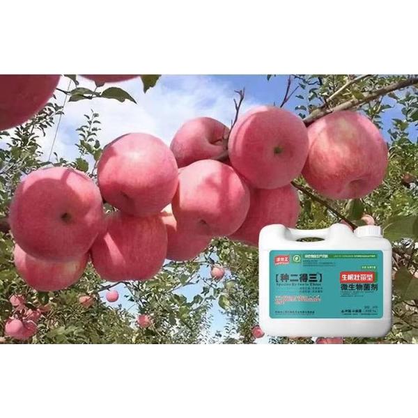 Agricultural Microbial Inoculant Organic Fertilizer Polyglutamic Acid Special Fertilizer For Fruits