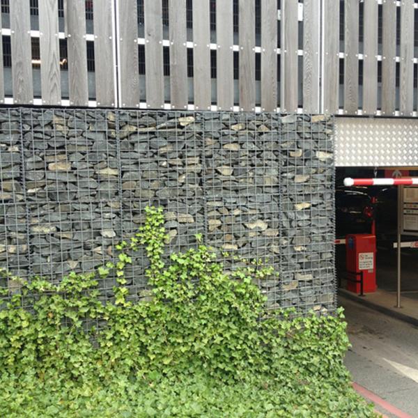 Garden Planting Of Plants With Galvanized wall Gabion Wall