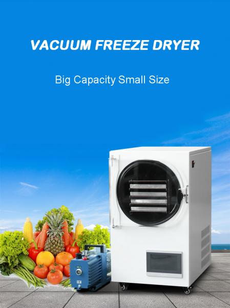 Freezed Dryer Vacuum Machines Industrial Coffee Mushroom Food Lyofilizing