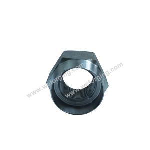 China Hex Cold Forging Nuts High Strength Forged Head Bolts For Industrial Applications on sale