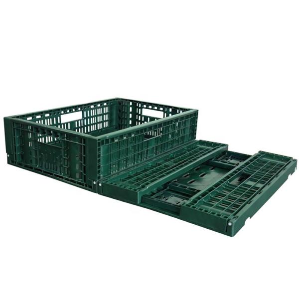 Plastic collapsible fruit mesh crate Manufacturer