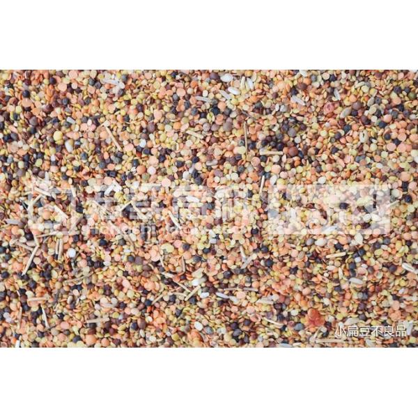 New Type 504 Channels Intelligent Lentils CCD Colour Sorter Manufacturer