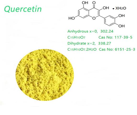 Cheap Dihydrate 95.0% HPLC Yellow Organic Quercetin Powder Weight Loss use for sale