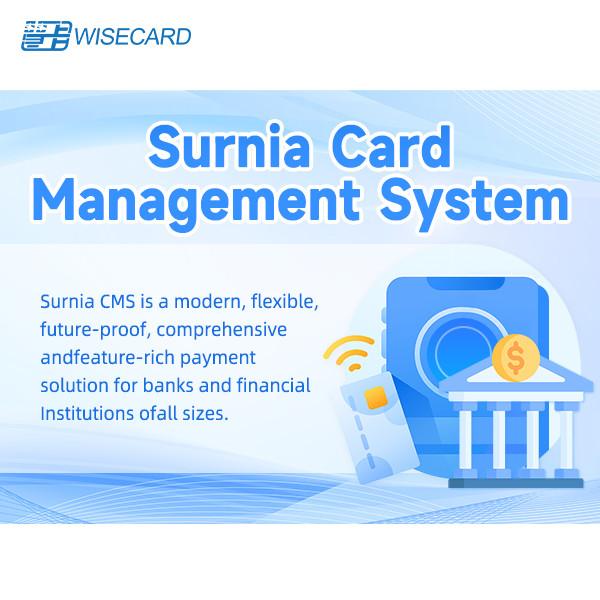 Cheap Scalable Card Management System With Automated Alerts English GUI Web Based Platform for sale