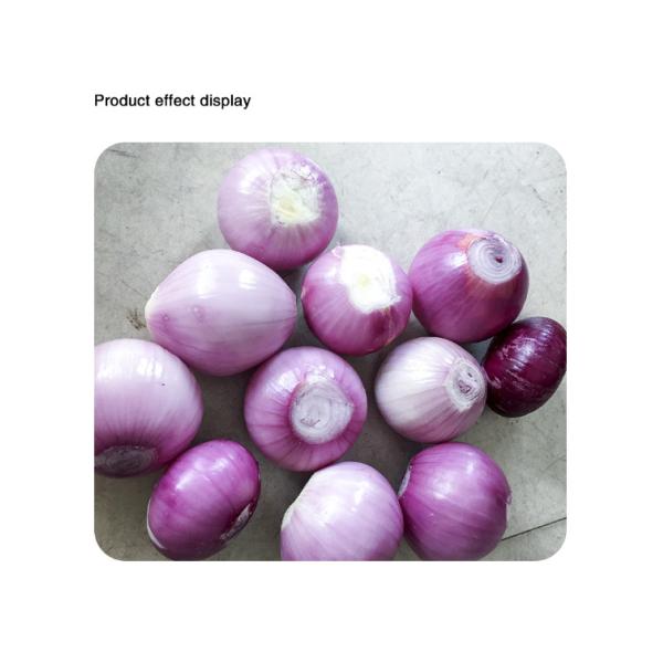 Onion peeling machine onion garlic Onions processing production line