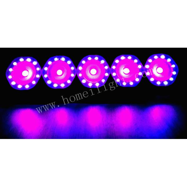 Portable LED Wall Washer Light Aluminum 5pcs 30W LED Matrix Light 5 Eyes