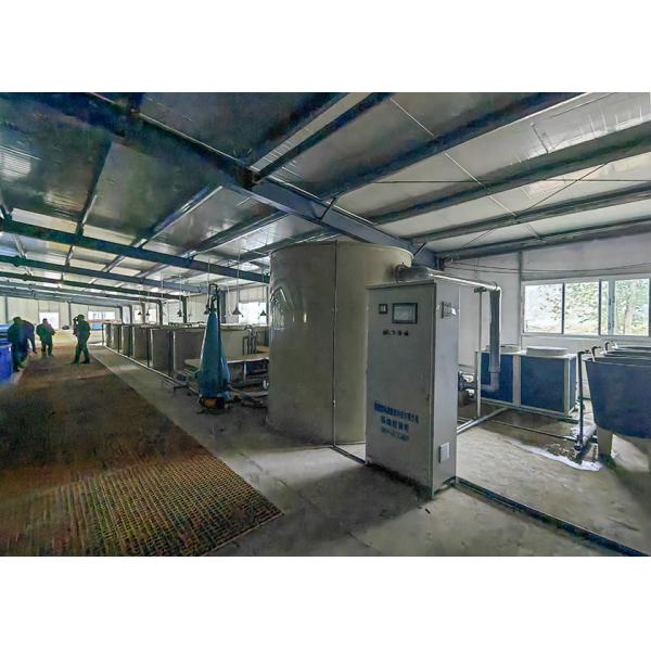 High-density fish farming in RAS system showing healthy fish population