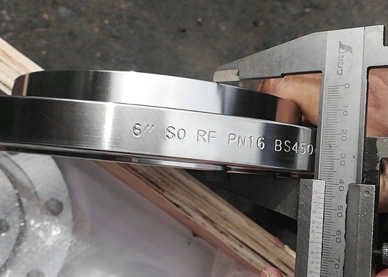 Dn65 Forged Flange Bs10 Table D/E Blind Pipe Fitting