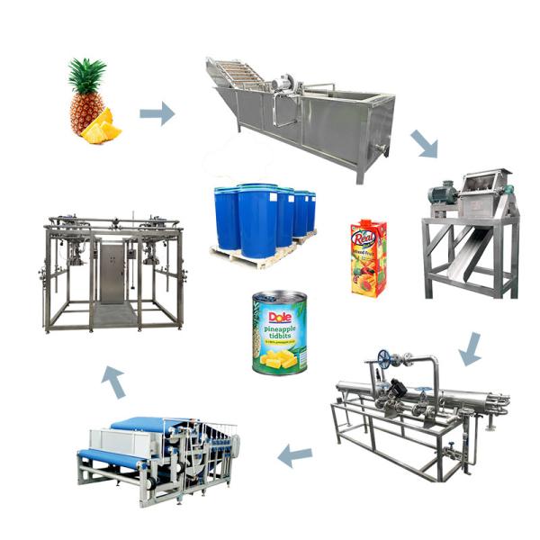 Cheap Aseptic Bag 60T/D Concentrated Pineapple Juice Extractor for sale
